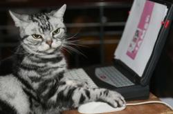 开云体育登录-热火鏖战雄鹿，浓眉在年度焦点之战中的统治表现