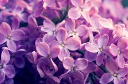 开云体育官网-伊萨克闪耀全场，厄瓜多尔完胜雷恩，一场战术与天赋的完美盛宴