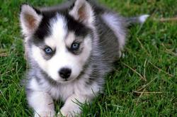 开云体育中国-闪耀赛场！爱德华兹全面爆发助尼克斯生死战力克山西