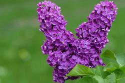 开云体育中国-燃魂之战，米切尔点燃赛场，步行者生死战取胜魔术