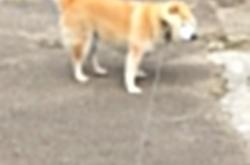 开云体育下载-沸腾时刻，德罗赞连斩十三分上演逆转奇迹，诠释何为关键先生