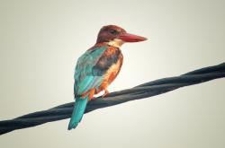 开云体育入口-莫兰特末节接管比赛，勇士掀翻快船，NBA赛场上的个人英雄主义与团队胜利