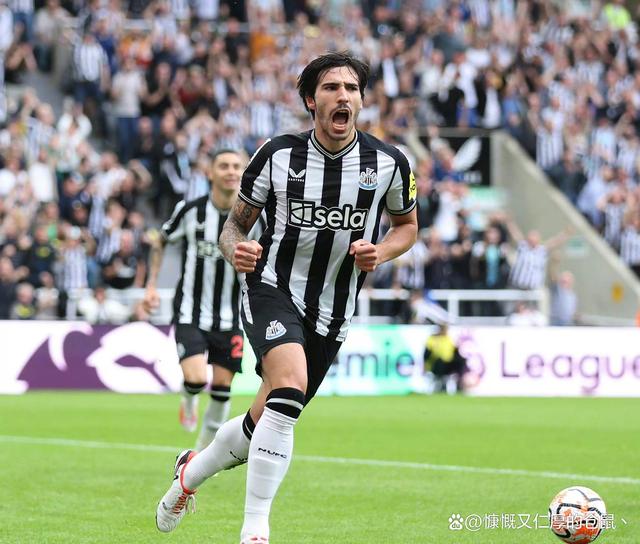 纽卡斯尔联新帅面对保级压力的简单介绍