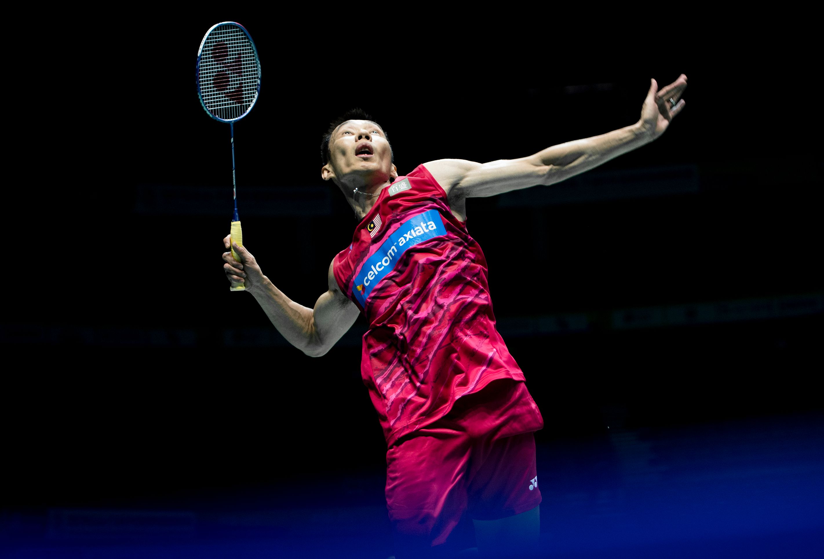 中国羽毛球队险胜法国羽毛球队，林丹关键制胜的简单介绍