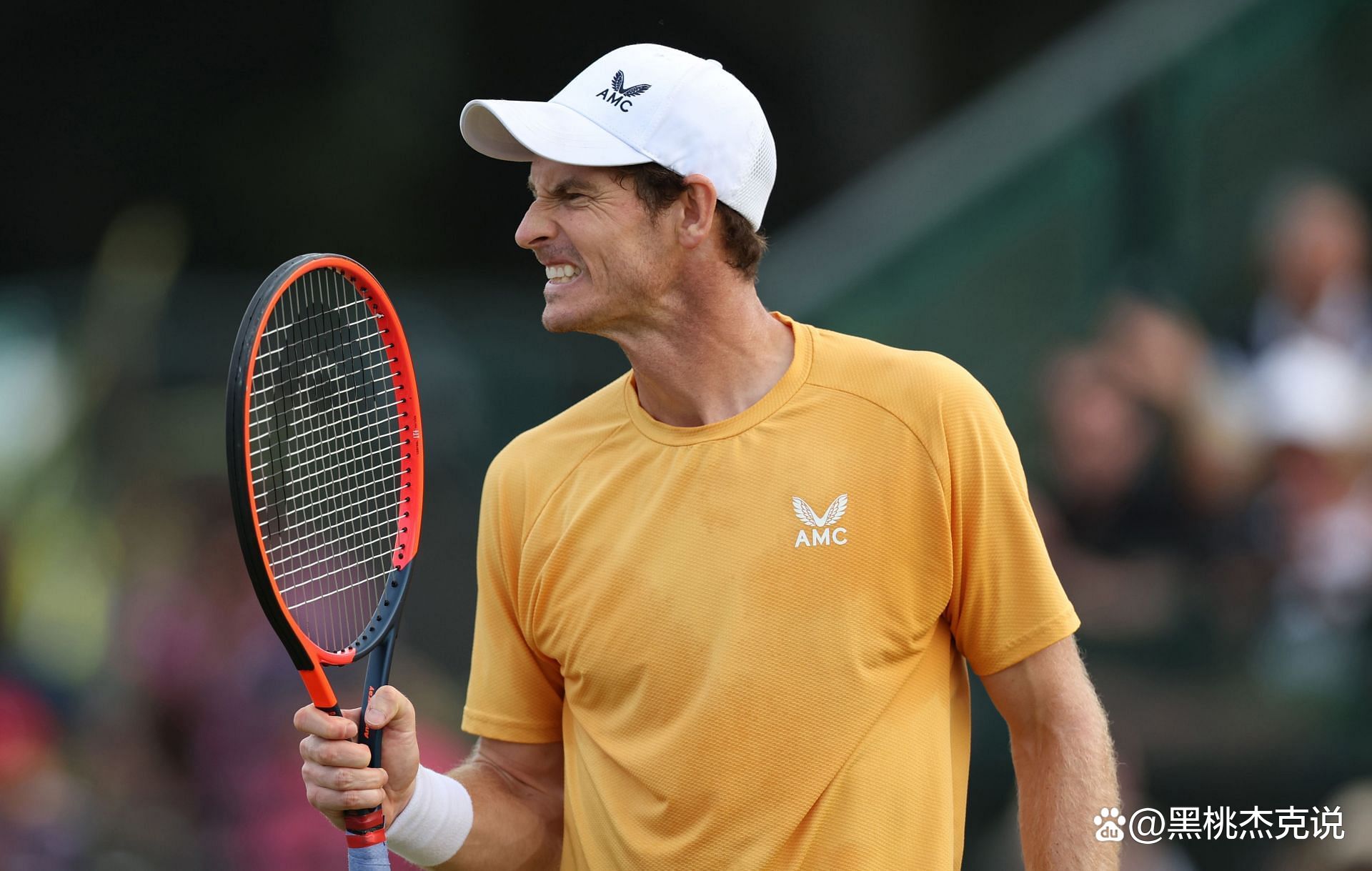 温网绝杀美网，穆雷点燃赛场