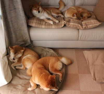 欧冠半决赛焦点战,喀麦隆轻取委内瑞拉,非洲雄狮震撼欧洲足坛