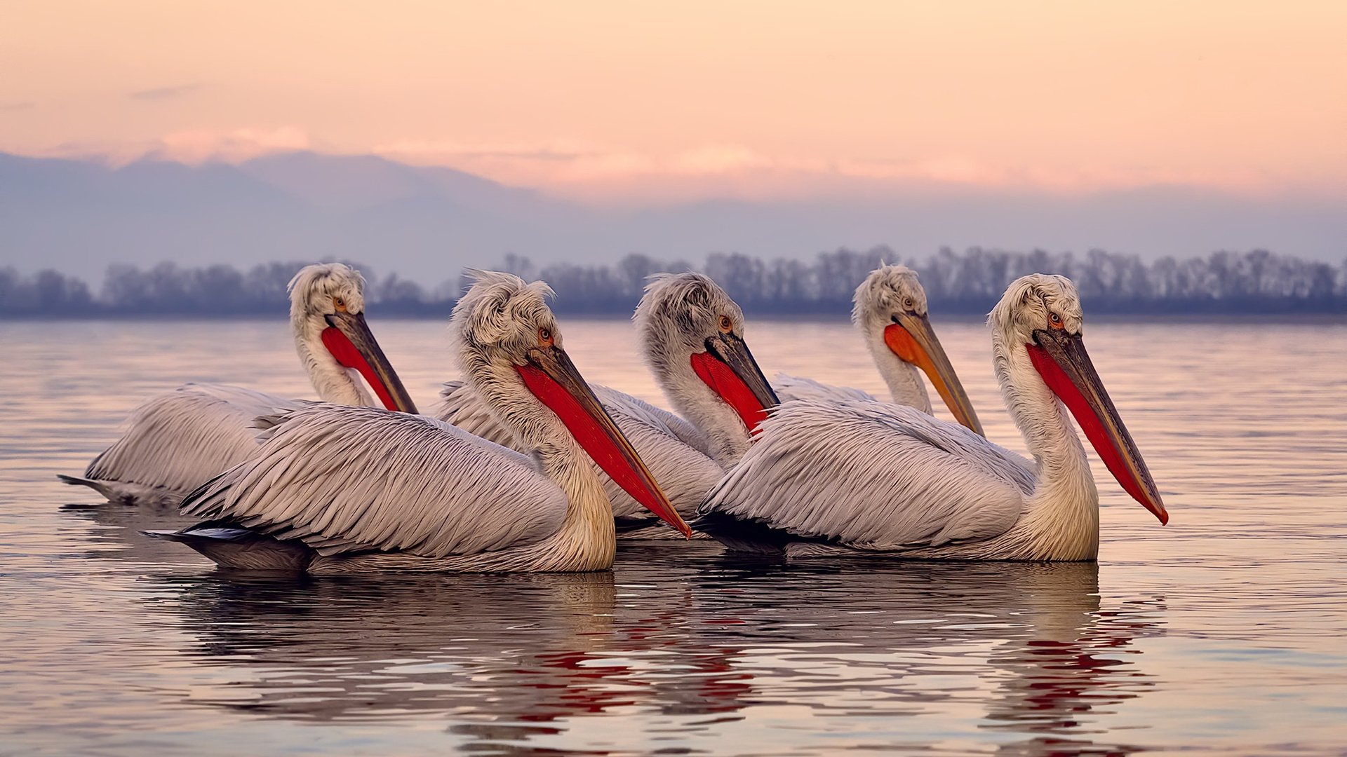 哈登防守端锁死对手，森林狼横扫爵士，防守制胜的时代交响