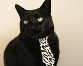 狼啸欧冠，金玟哉铸就钢铁防线，奥地利力量冲垮莱比锡红牛神话