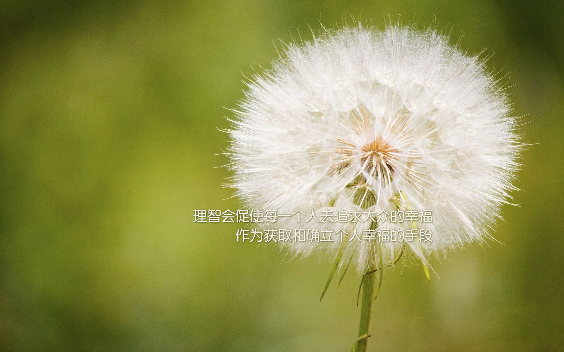 燃魂之战,米切尔点燃赛场,步行者生死战取胜魔术