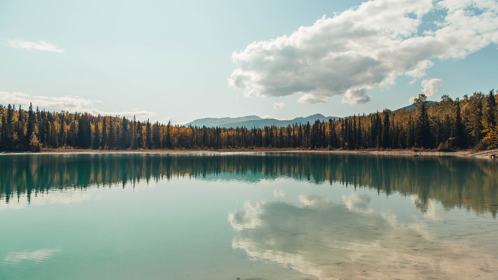 非洲旋风与亚洲利刃,红牛内外的征服者与自我证明之战