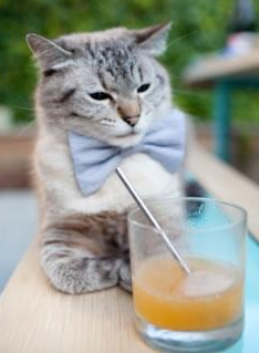 布克状态火热狂砍45分，辽宁队主场狂胜尼克斯创纪录